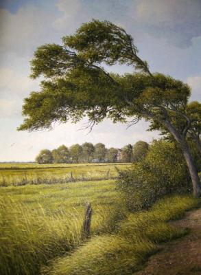 Landschaft bei Neuharlingersiel-Ostfriesland von 2 - Lothar Strübbe - Array auf Array - Array - Array Landschaft bei Neuharlingersiel-Ostfriesland von 2 - Lothar Strübbe - Array auf Array - Array - Array