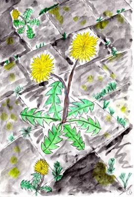 ---Löwenzahn--- - Christoph Gerritsen - Array auf Array - Array - Array ---Löwenzahn--- - Christoph Gerritsen - Array auf Array - Array - Array