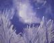 EIS-MEER-GRAS - Christiane Gathmann - Acryl auf Leinwand - Landschaft-Eis-Meer - Klassisch
