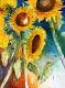 Sonnenblumen Sonnenblumen