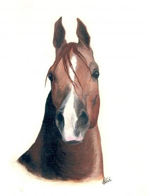 Pferd - Miriam Knopf - Array auf Array - Array - Array Pferd - Miriam Knopf - Array auf Array - Array - Array