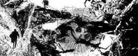 Psychografik 8 - Ron Rodec - auf - Array - Psychografik 8 - Ron Rodec - auf - Array -