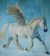 Pegasus Pegasus