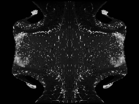 Wogen der Farbe - Frank Thiele - auf - Array - Array Wogen der Farbe - Frank Thiele - auf - Array - Array