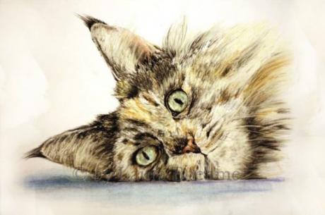 Katzenportrait - LauraBoehme - auf Array - Array - Katzenportrait - LauraBoehme - auf Array - Array -