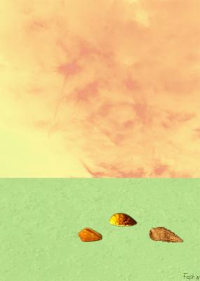 Muscheln limitierte Edition - fernand Reiter - Array auf - Array - Muscheln limitierte Edition - fernand Reiter - Array auf - Array -