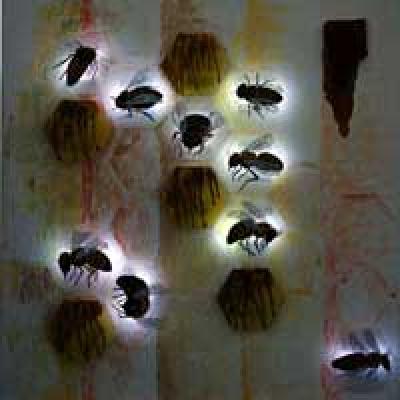 Light-art Workforce - Picchio Dieter Specht - Array auf Array - - Array Light-art Workforce - Picchio Dieter Specht - Array auf Array - - Array