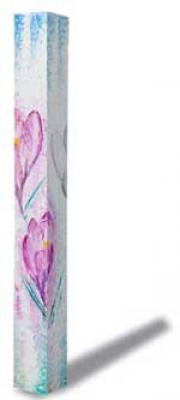 Beam Crocus-albiflorus - Picchio Dieter Specht - Array auf - - Beam Crocus-albiflorus - Picchio Dieter Specht - Array auf - -