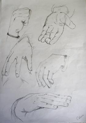 Hände - Catinca Alexandra - Array auf - - Hände - Catinca Alexandra - Array auf - -