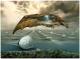 Bild 1-04 -H.-D.Grossmann- Bild 1-04 -H.-D.Grossmann-