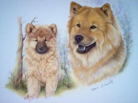 Eurasier BELLA LUNA als Welpe und heute - Karin Schnabl - Array auf - Array - Eurasier BELLA LUNA als Welpe und heute - Karin Schnabl - Array auf - Array -