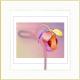 Orchidee (2003) Armin Mumper Orchidee (2003) Armin Mumper