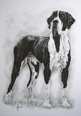 Dogge Woody (2010) - Janette Herlinger - Array auf - Array - Dogge Woody (2010) - Janette Herlinger - Array auf - Array -