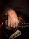 Basshand from the Groovemaster Lynwood Edmond Basshand from the Groovemaster Lynwood Edmond