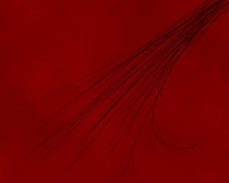 Scrawl 3 - Jacek Fijalkowski - Array auf - Array - Scrawl 3 - Jacek Fijalkowski - Array auf - Array -