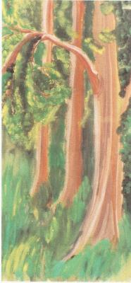 Kiefer - Alina Yunova - auf - Array - Array Kiefer - Alina Yunova - auf - Array - Array