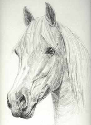 Mariel - atelier zerah - Array auf - Array - Mariel - atelier zerah - Array auf - Array -