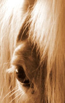 Augenblick 2 - atelier zerah - auf - Array - Augenblick 2 - atelier zerah - auf - Array -