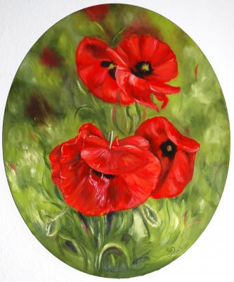 Mohnblumen - Maria Prachnau - Array auf Array - Array - Array Mohnblumen - Maria Prachnau - Array auf Array - Array - Array