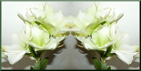 Reinheit -   -  auf  - Array - 