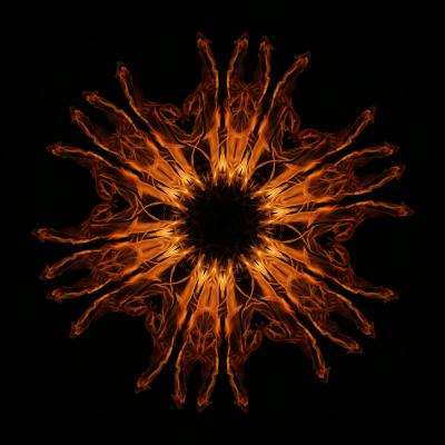 Feuerblume 2008082206 - Niels Vaillant - Array auf - Array - Feuerblume 2008082206 - Niels Vaillant - Array auf - Array -