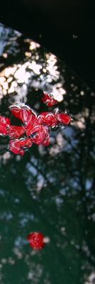 vergänglich - no name - auf - Array - vergänglich - no name - auf - Array -