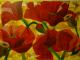 Mohnblumen Mohnblumen