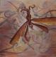 Elf fantasie - edith van aken - Acryl auf Leinwand - Sonstiges - 