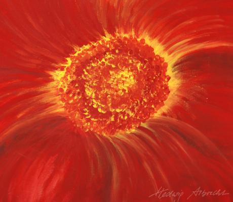 BLume rot / voll erblüht - Albrecht - Array auf Array - Array - BLume rot / voll erblüht - Albrecht - Array auf Array - Array -