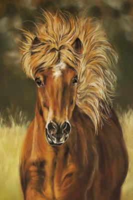 Isländer - Christina Frenken - Array auf Array - Array - Array Isländer - Christina Frenken - Array auf Array - Array - Array