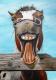 Crazy Horse Crazy Horse