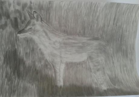 Fuchs im Gras - Anita Novacek - Array auf - Array - Fuchs im Gras - Anita Novacek - Array auf - Array -