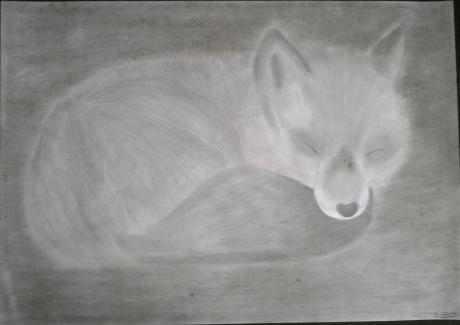 Schlafender Fuchs - Anita Novacek - Array auf - Array - Schlafender Fuchs - Anita Novacek - Array auf - Array -