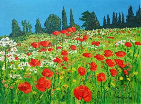 Mohnwiese in der Toskana - Klaus Dierlamm - Array auf Array - Array - Array Mohnwiese in der Toskana - Klaus Dierlamm - Array auf Array - Array - Array