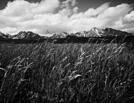 --- - Michal Ciepielewski - auf - Array - --- - Michal Ciepielewski - auf - Array -