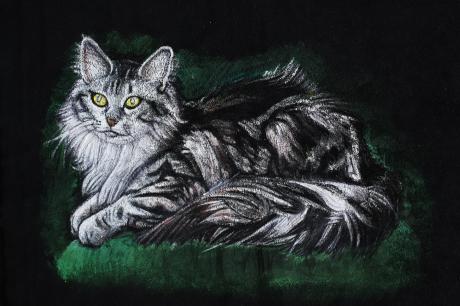 Norvegische Wildkatze - Aline Francine - Array auf - Array - Array Norvegische Wildkatze - Aline Francine - Array auf - Array - Array