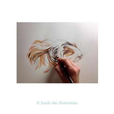 Meerschweinchen Henriette - Sarah Mo Illustration - Array auf Array - Array - Array Meerschweinchen Henriette - Sarah Mo Illustration - Array auf Array - Array - Array