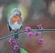 Bird 2 Bird 2