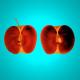Xray Apple - Theo Berends - - auf - Botanik - Xray Apple - Theo Berends - - auf - Botanik -