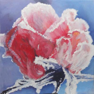 Rose im Schnee--- - ingrid wenz-gahler - Array auf  - Array - Array