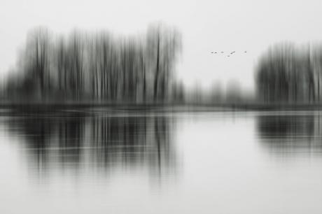 Der Ruf der Wildgänse - Bastian Kienitz - Array auf - Array - Der Ruf der Wildgänse - Bastian Kienitz - Array auf - Array -