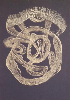 # 107 - edvard walker - auf - Array - # 107 - edvard walker - auf - Array -