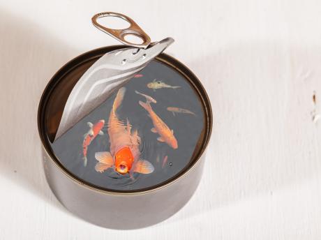 I´m hungry - fernand Reiter - Array auf - Array - I´m hungry - fernand Reiter - Array auf - Array -