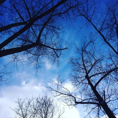 Wintertag - L.M. G. - auf - Array - Wintertag - L.M. G. - auf - Array -