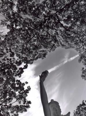 Neues Kunstwerk - Wolfram Hasch -  auf  - Array - 