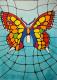 Schmetterling Schmetterling