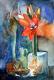 Amaryllis Amaryllis