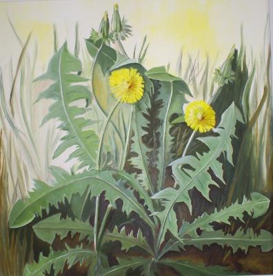 Löwenzahn - Rebekka Känel - Array auf Array - Array - Array Löwenzahn - Rebekka Känel - Array auf Array - Array - Array